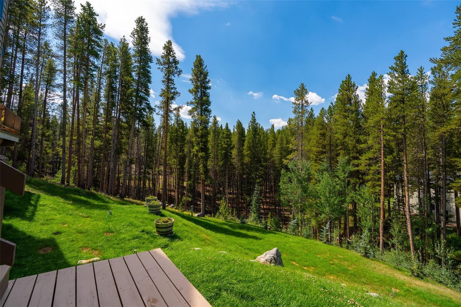463 Blue Flag Circle Breckenridge CO 80424
