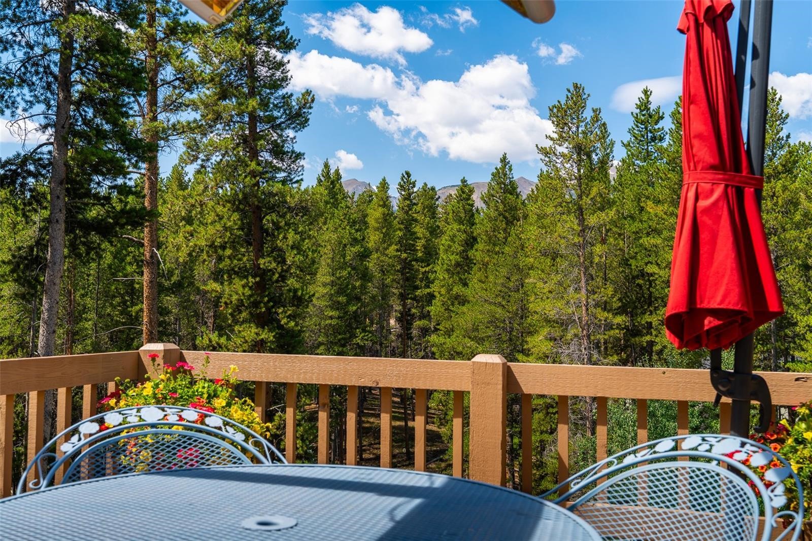 463 Blue Flag Circle Breckenridge CO 80424