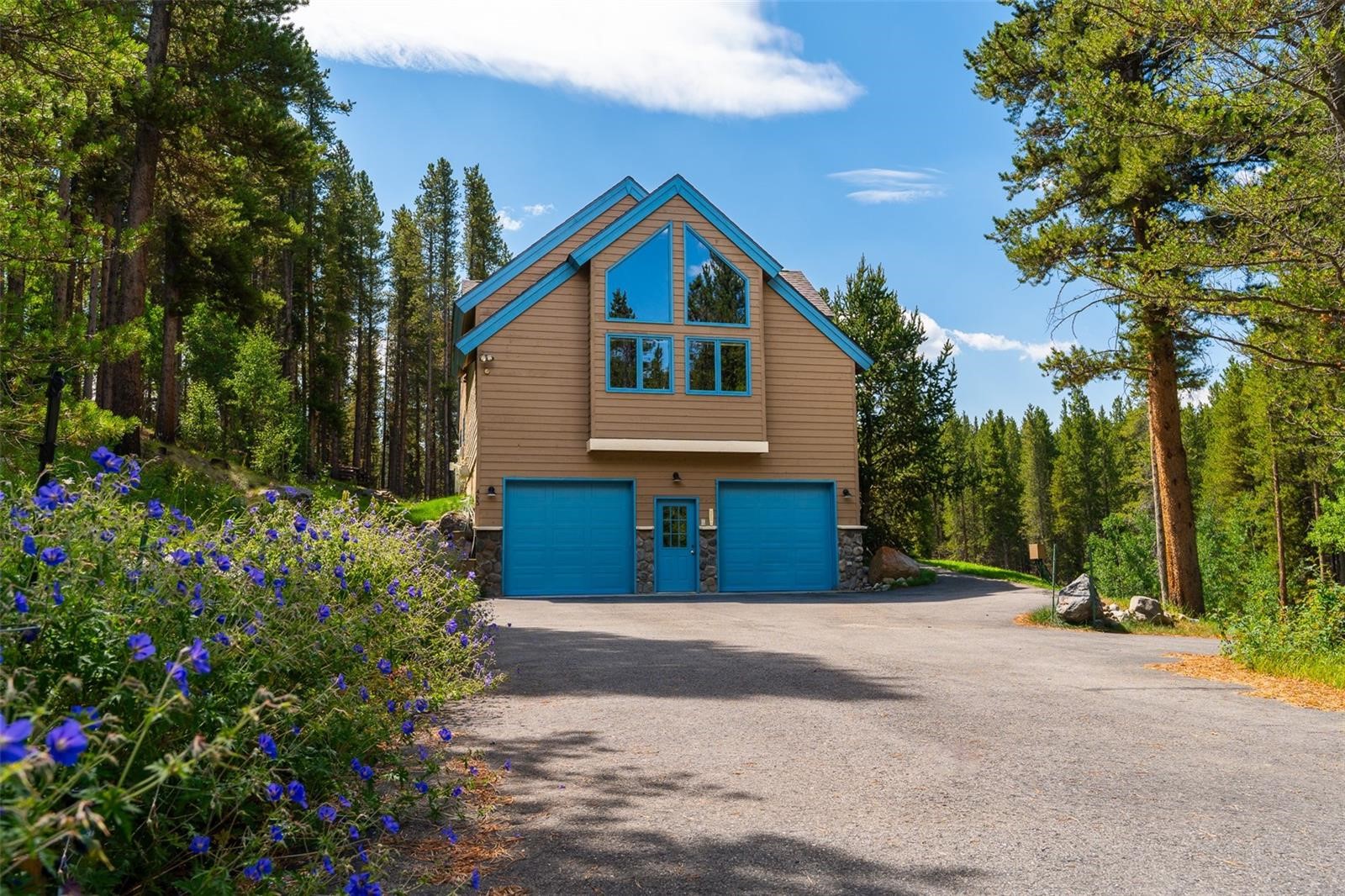 463 Blue Flag Circle Breckenridge CO 80424