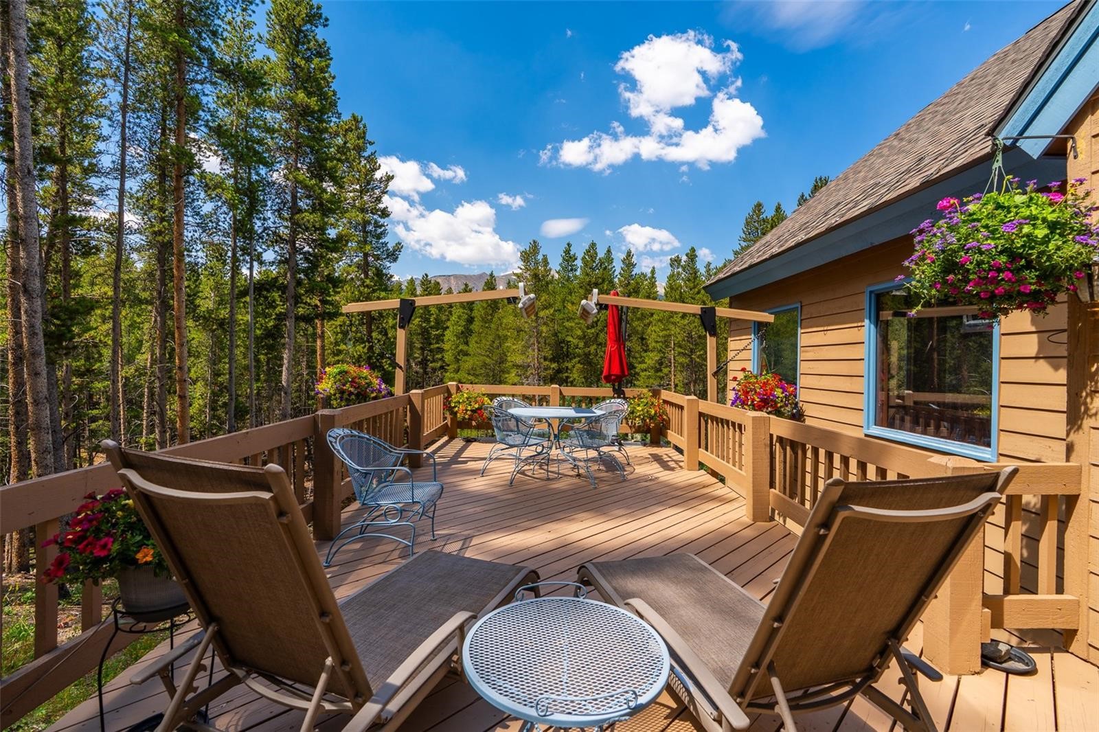 463 Blue Flag Circle Breckenridge CO 80424