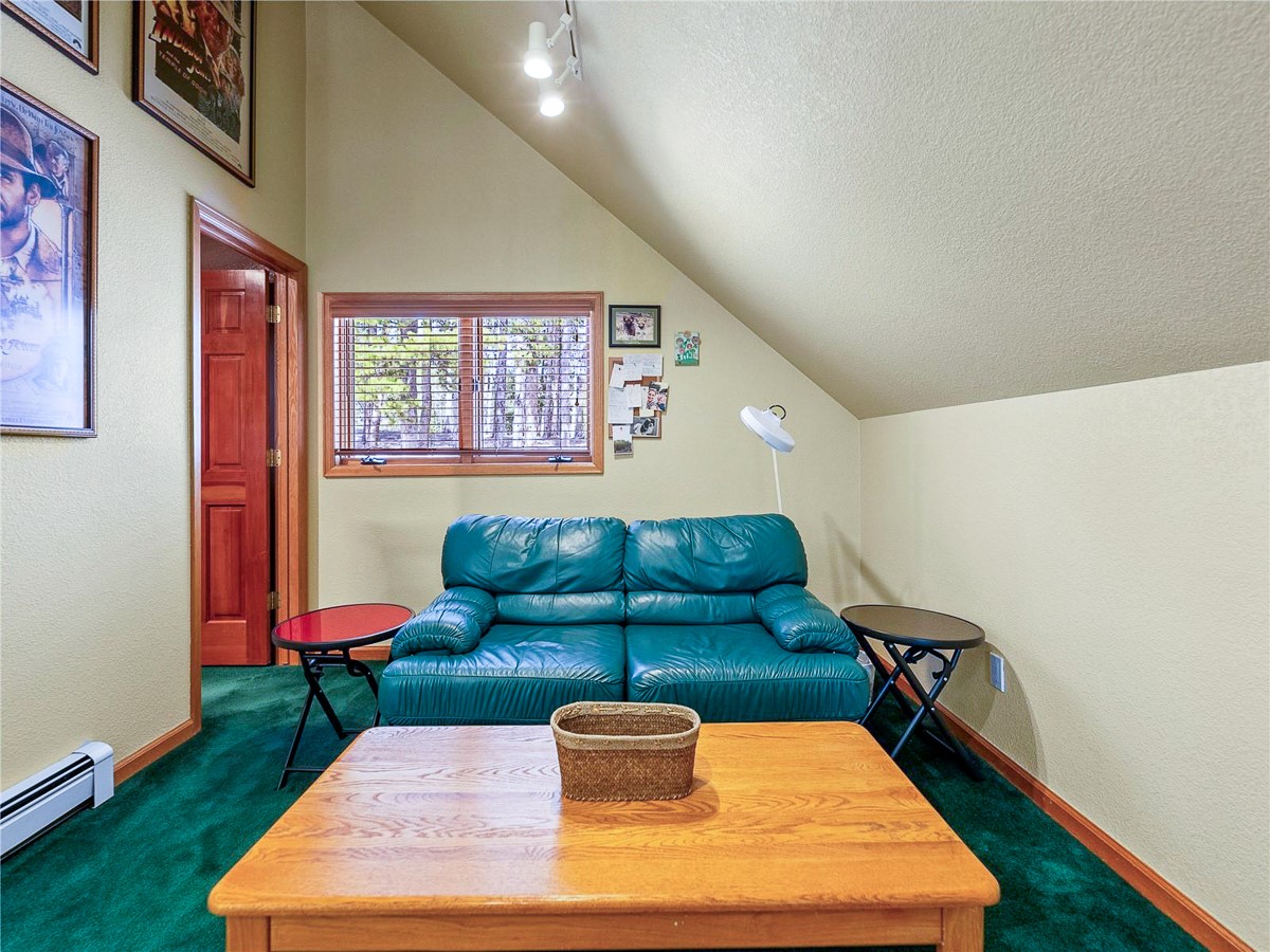 463 Blue Flag Circle Breckenridge CO 80424