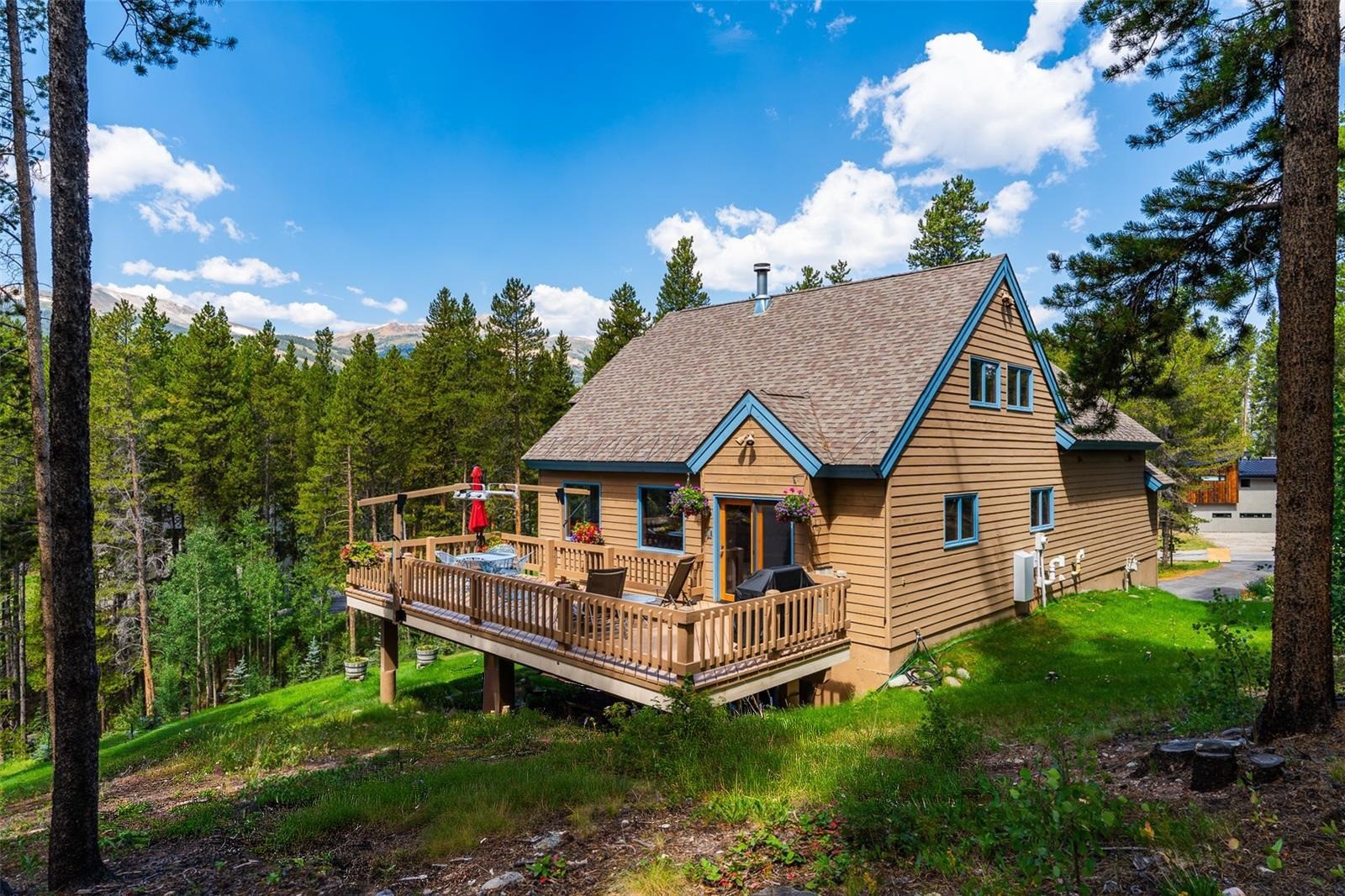463 Blue Flag Circle Breckenridge CO 80424