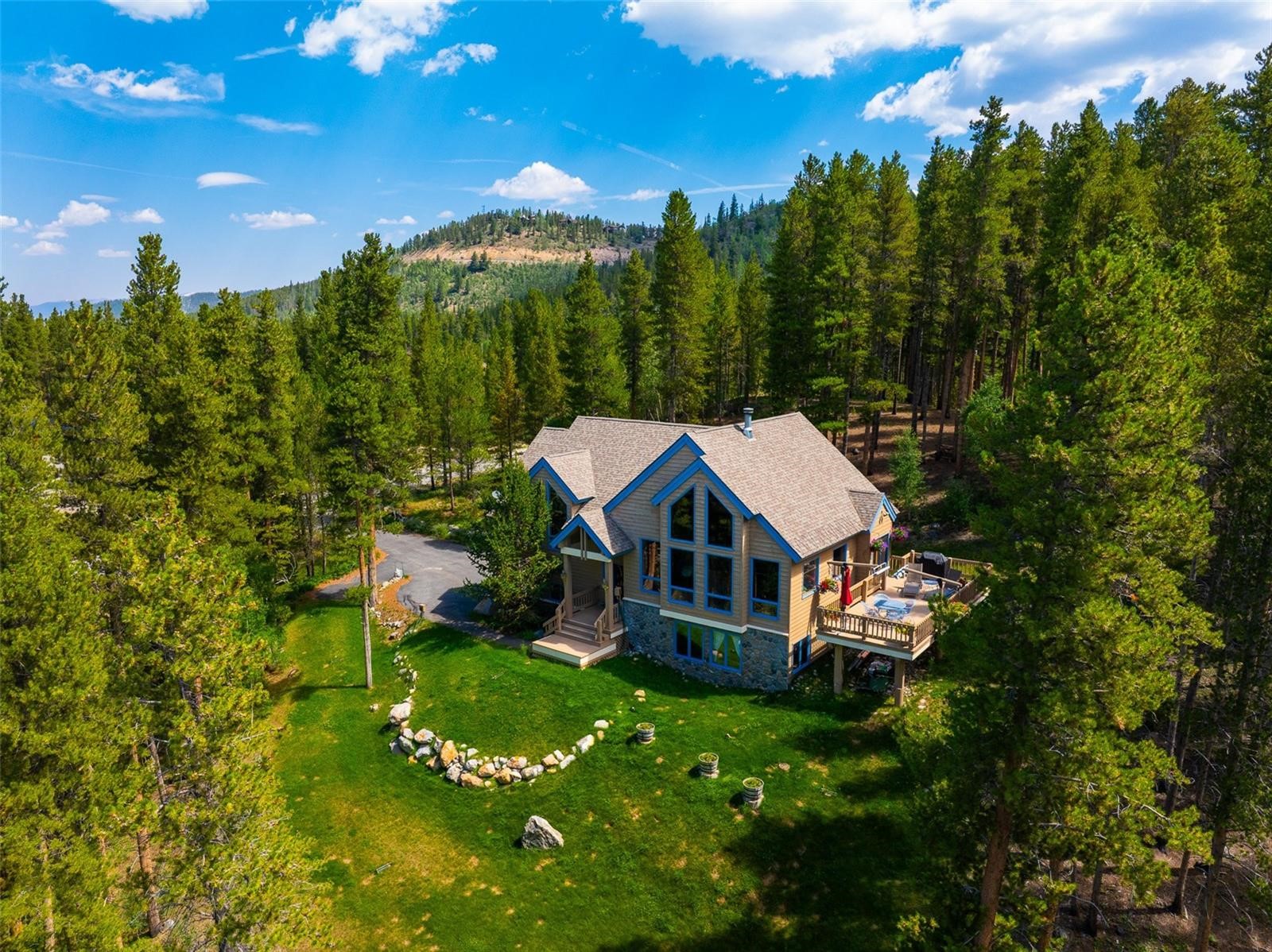 463 Blue Flag Circle Breckenridge CO 80424