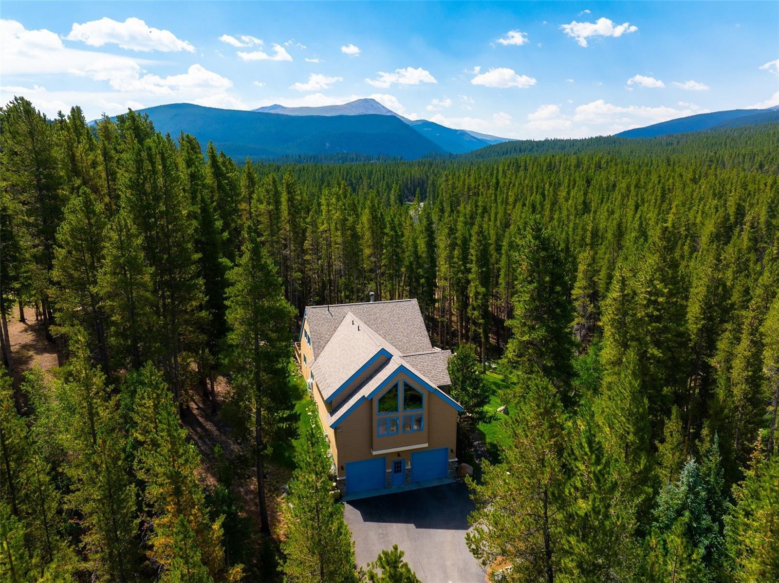 463 Blue Flag Circle Breckenridge CO 80424
