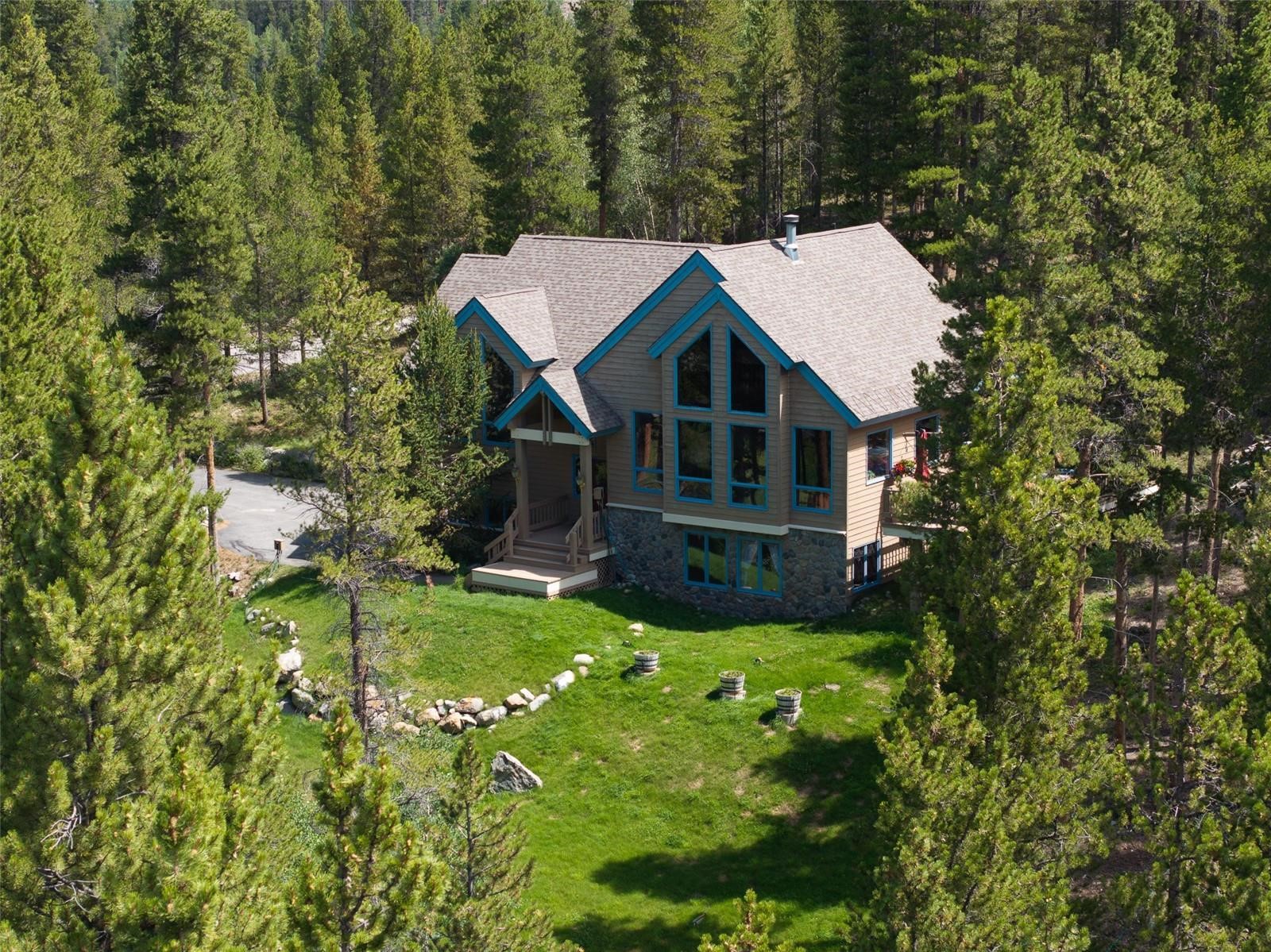 463 Blue Flag Circle Breckenridge CO 80424