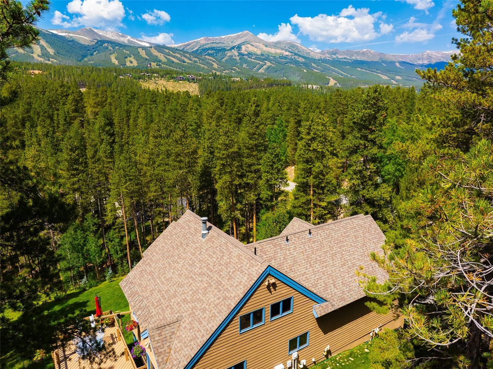 463 Blue Flag Circle Breckenridge CO 80424