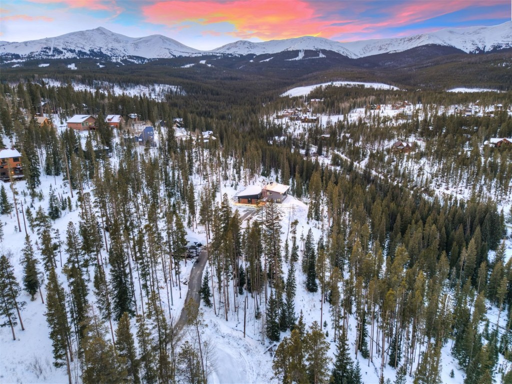 133 Adams Way Breckenridge CO 80424