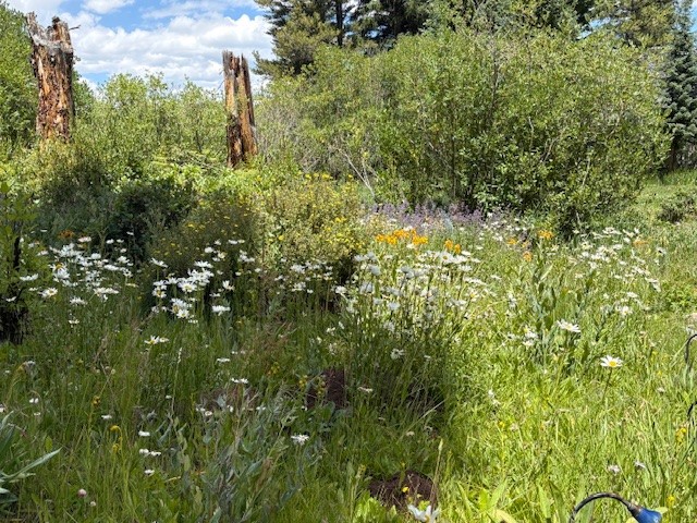 353 Blue River Road Blue River CO 80424