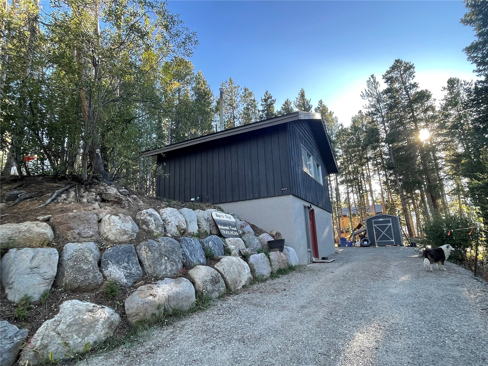 160 Timberlane Circle Breckenridge CO 80424
