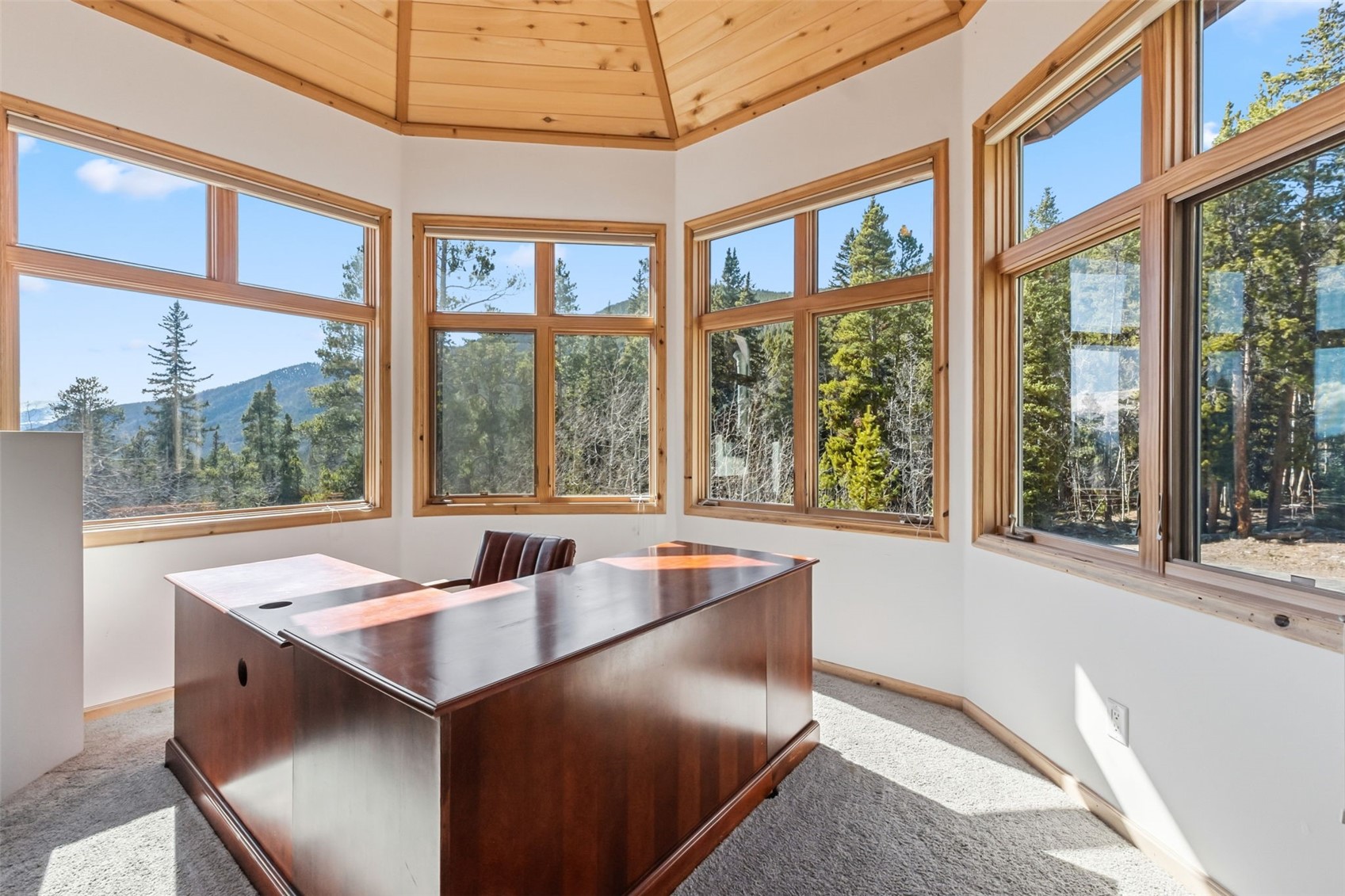 300 Buckeye Creek Road Leadville CO 80461