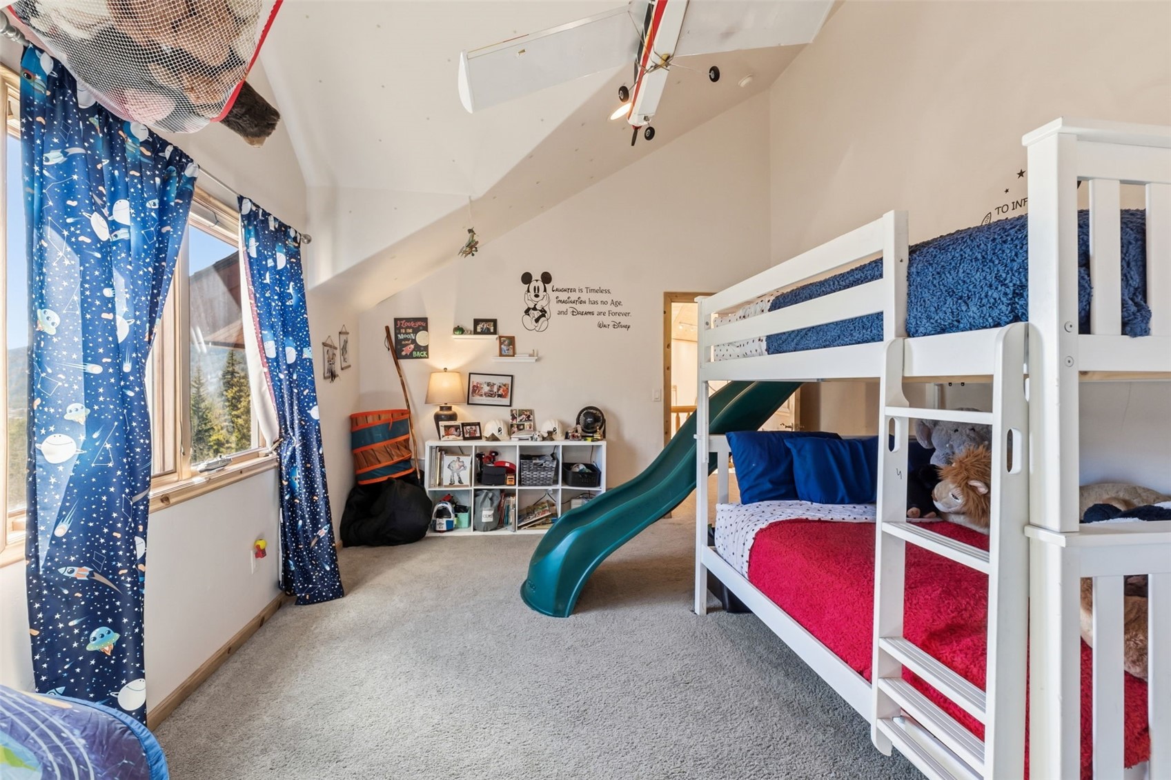 300 Buckeye Creek Road Leadville CO 80461