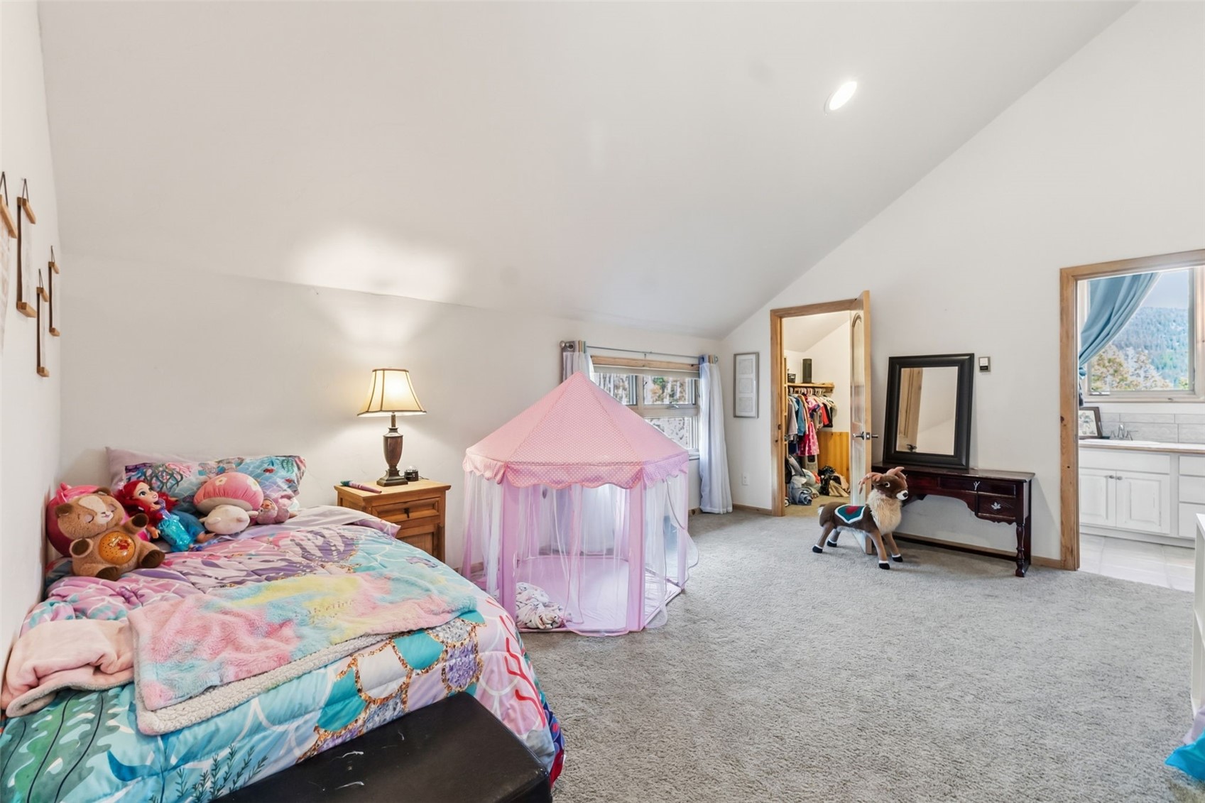 300 Buckeye Creek Road Leadville CO 80461