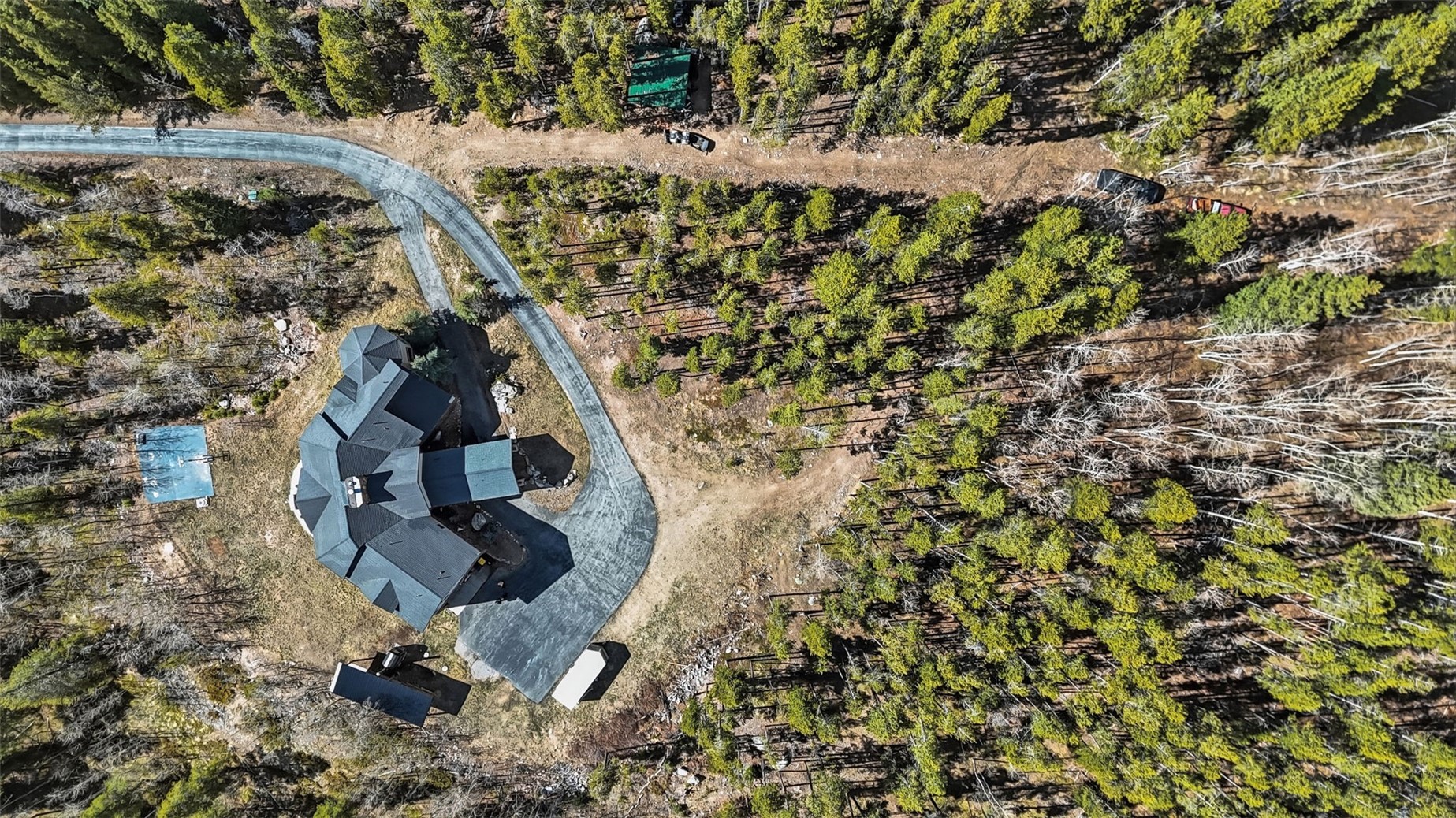 300 Buckeye Creek Road Leadville CO 80461