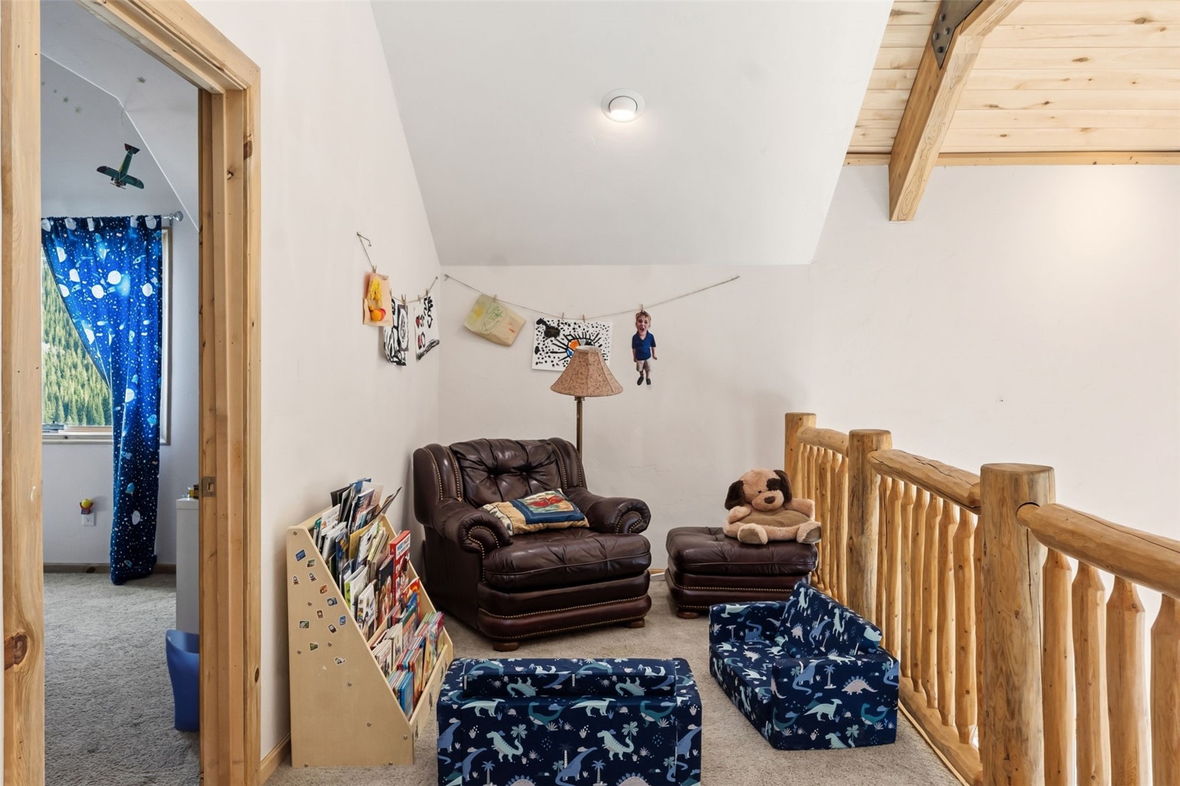 300 Buckeye Creek Road Leadville CO 80461