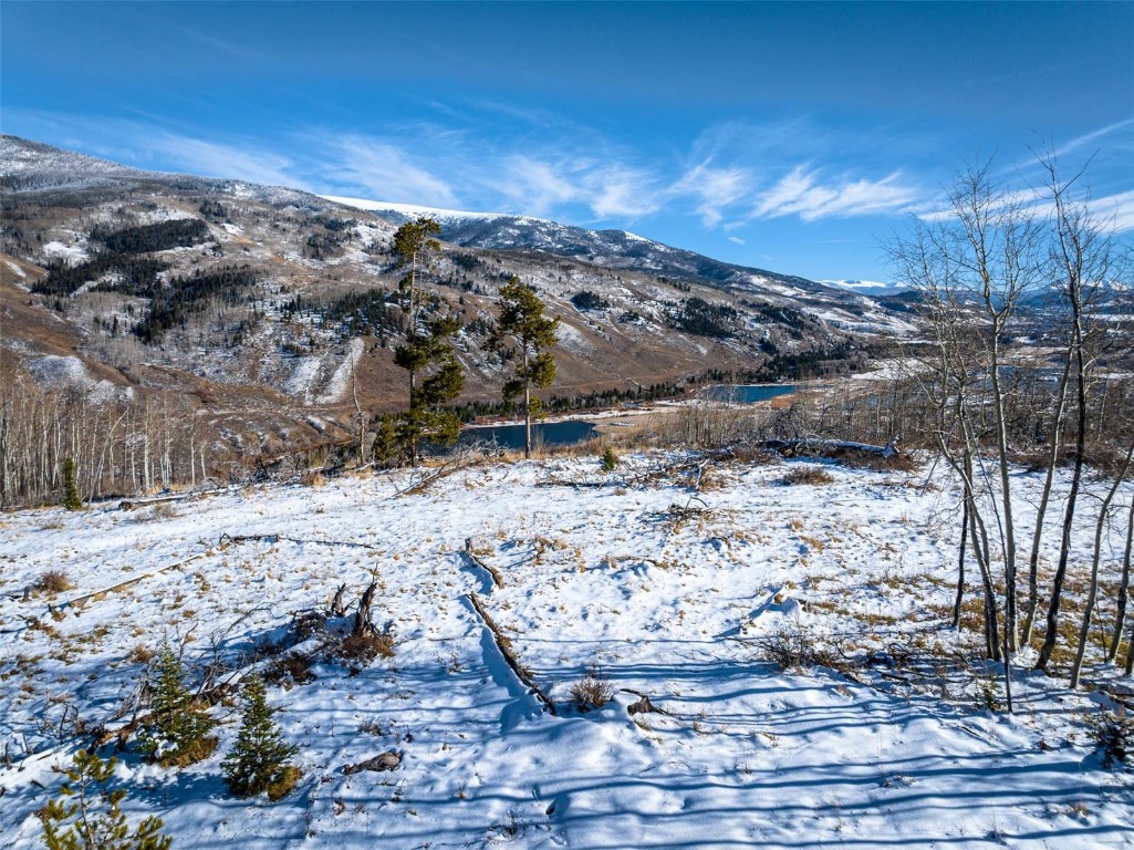 Tbd Whetstone Drive Silverthorne CO 80498