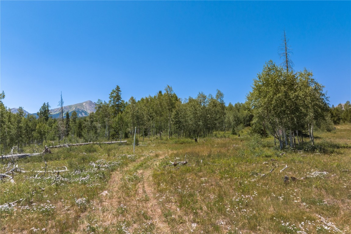 Tbd Whetstone Drive Silverthorne CO 80498