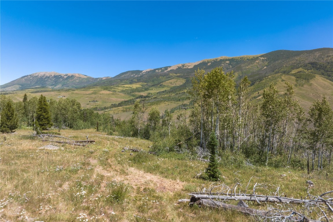 Tbd Whetstone Drive Silverthorne CO 80498