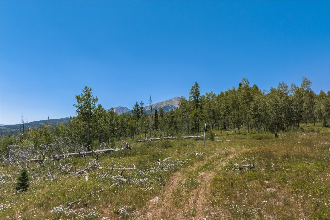 Tbd Whetstone Drive Silverthorne CO 80498