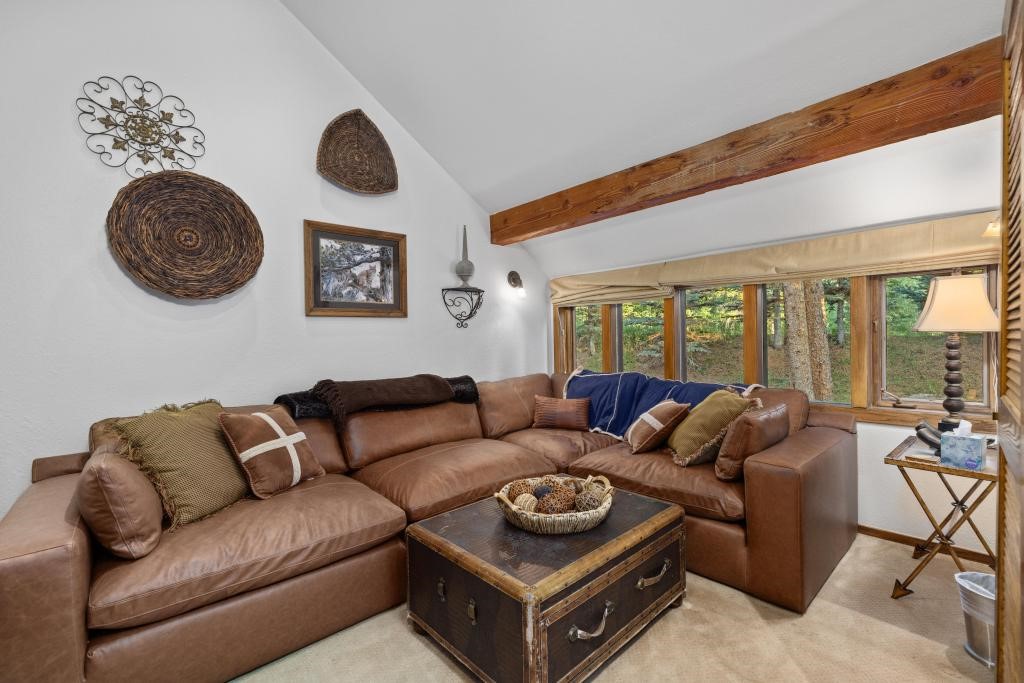 82 Lenawee Lane Keystone CO 80435