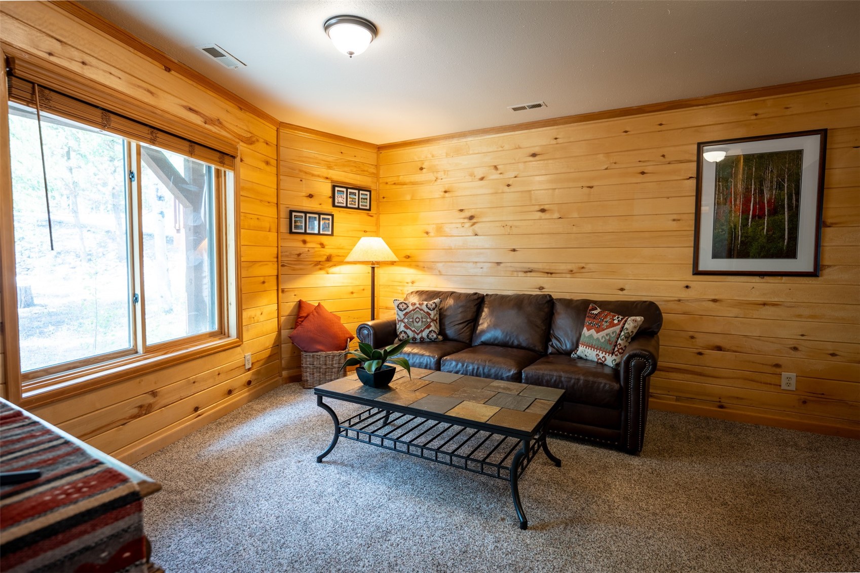 186 Spring Beauty Drive Silverthorne CO 80498