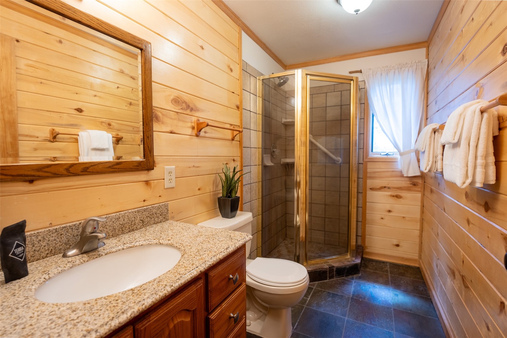 186 Spring Beauty Drive Silverthorne CO 80498