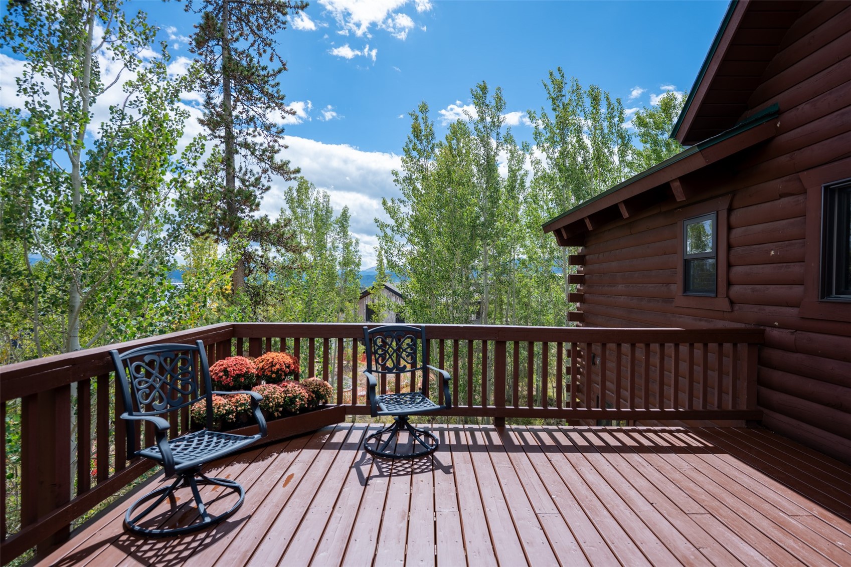 186 Spring Beauty Drive Silverthorne CO 80498