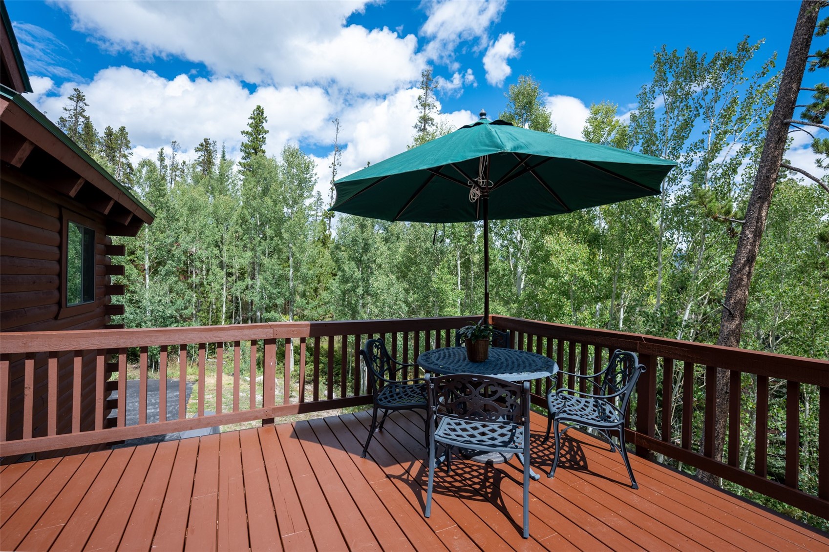 186 Spring Beauty Drive Silverthorne CO 80498
