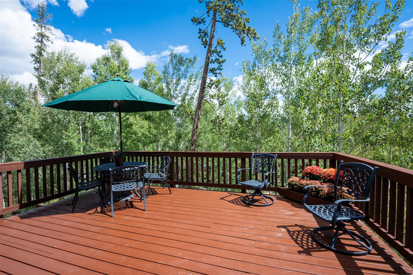 186 Spring Beauty Drive Silverthorne CO 80498