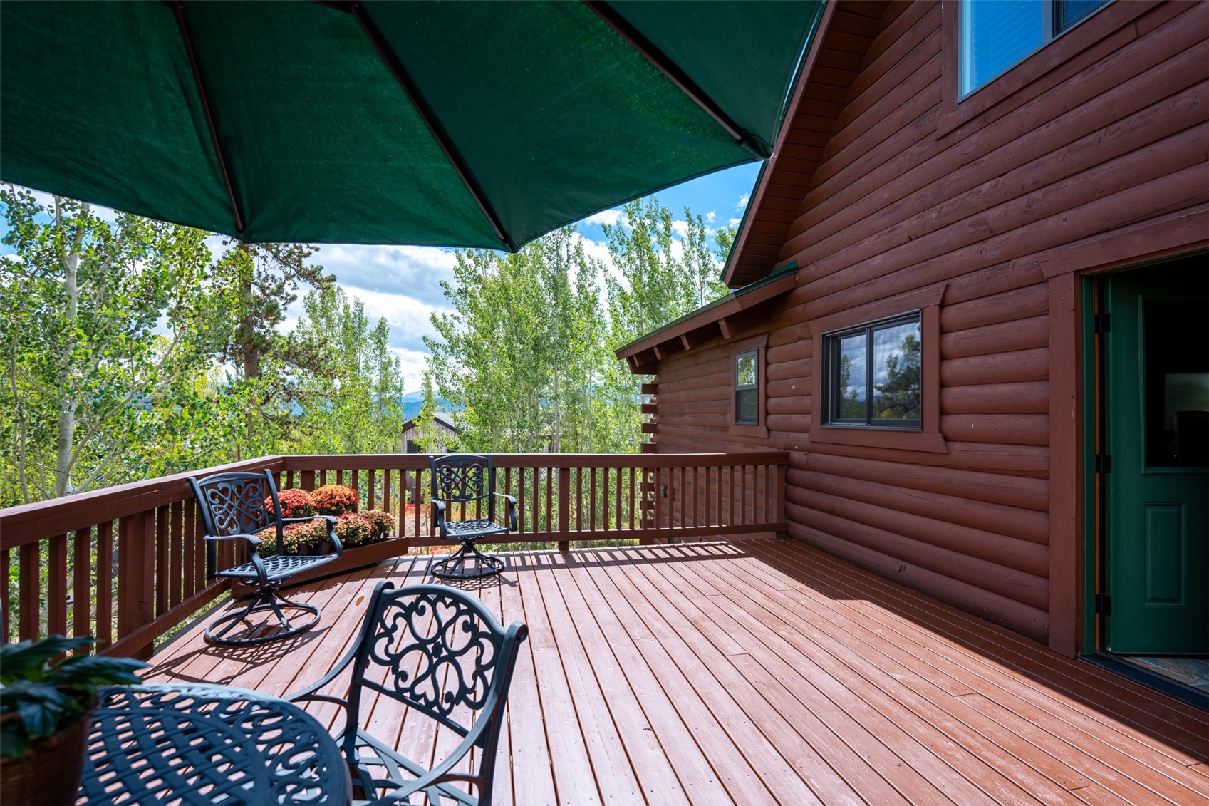 186 Spring Beauty Drive Silverthorne CO 80498