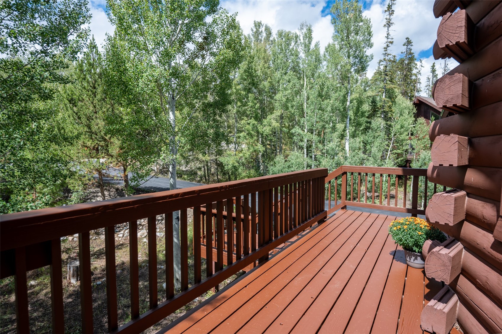 186 Spring Beauty Drive Silverthorne CO 80498