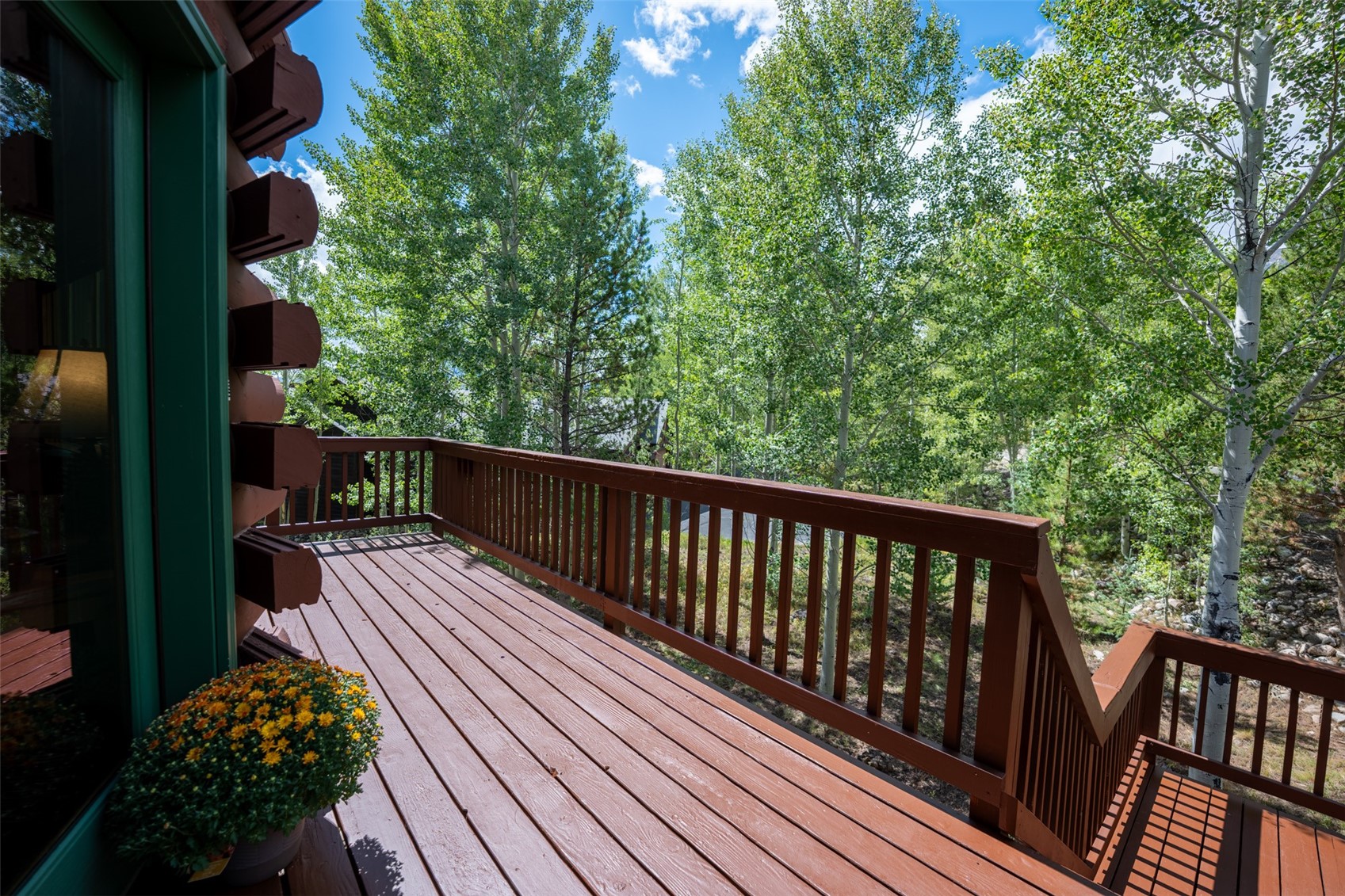 186 Spring Beauty Drive Silverthorne CO 80498