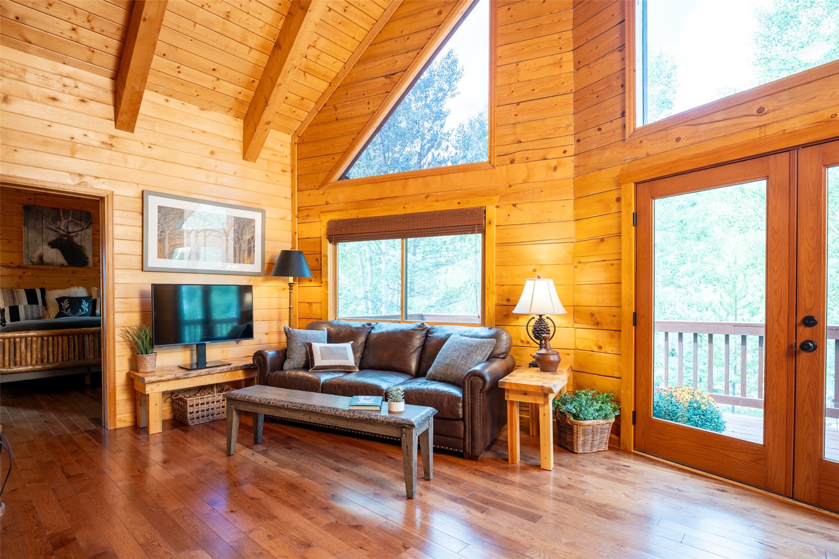 186 Spring Beauty Drive Silverthorne CO 80498