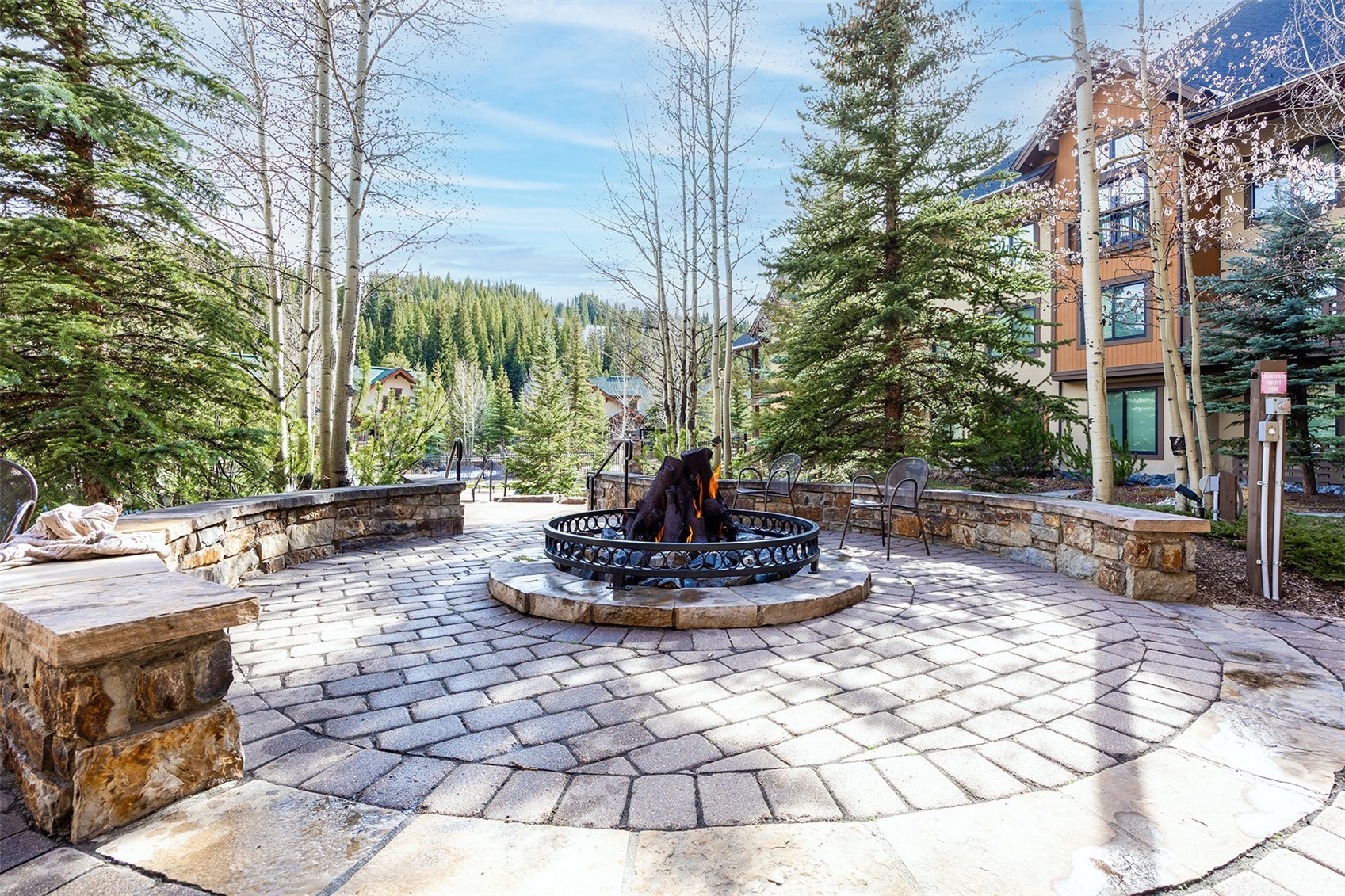 172 Beeler Place Copper Mountain CO 80443