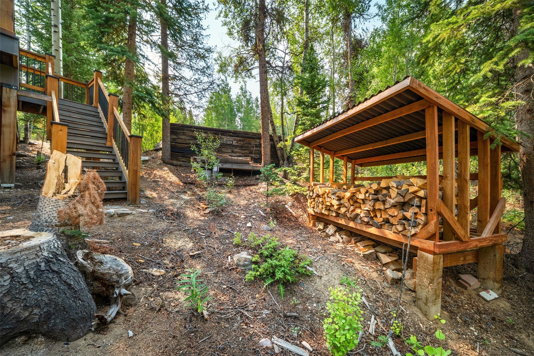 43 Ski Trail Circle Breckenridge CO 80424