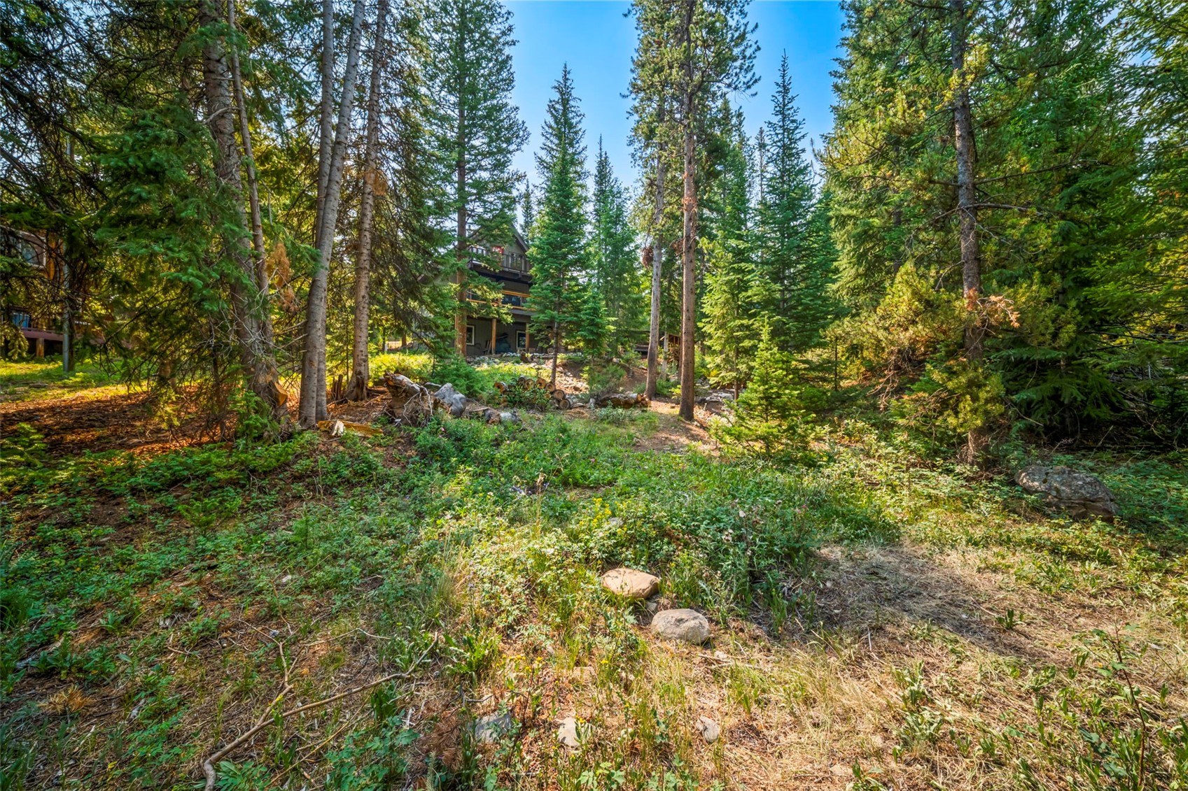 43 Ski Trail Circle Breckenridge CO 80424