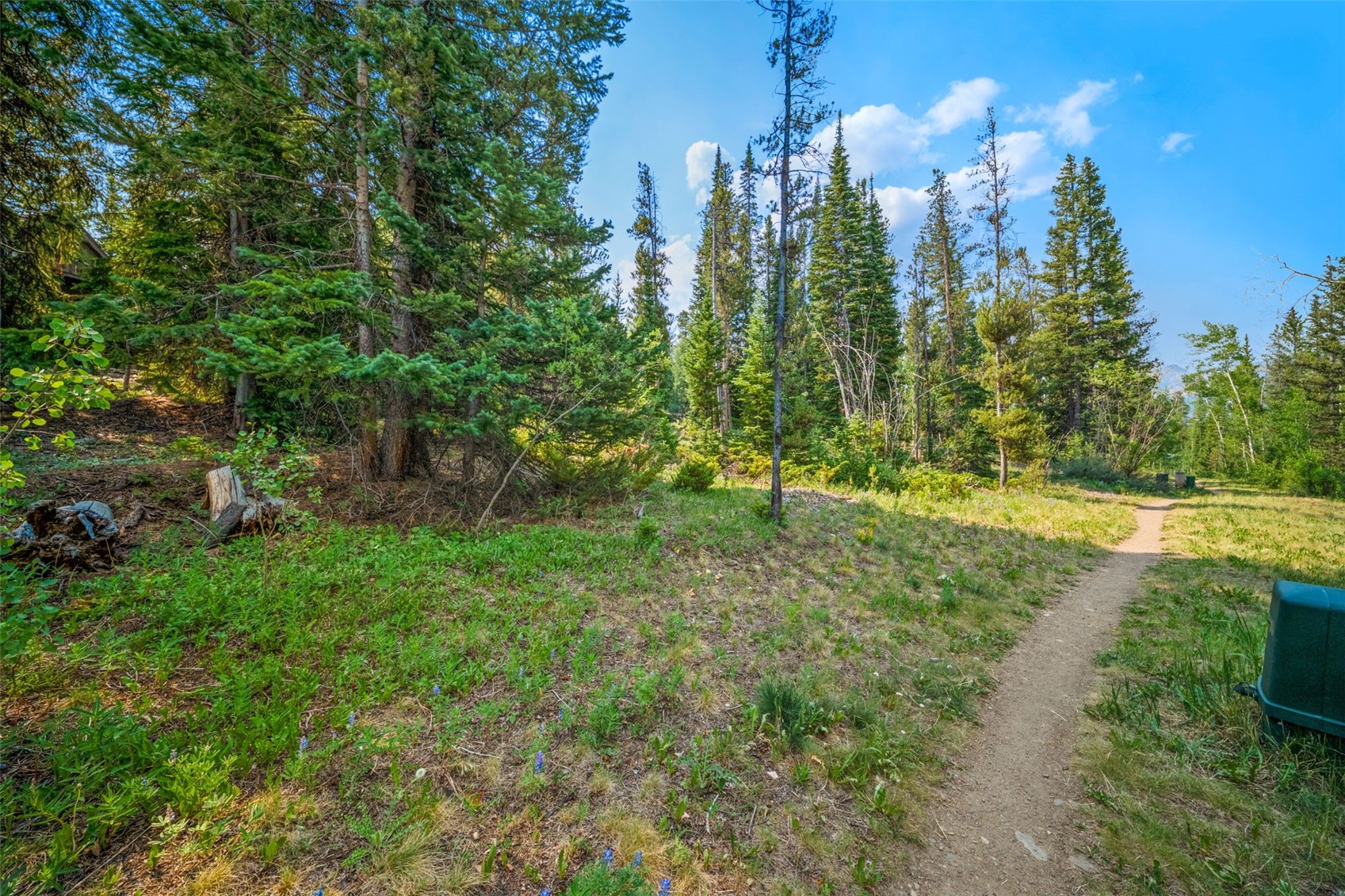 43 Ski Trail Circle Breckenridge CO 80424