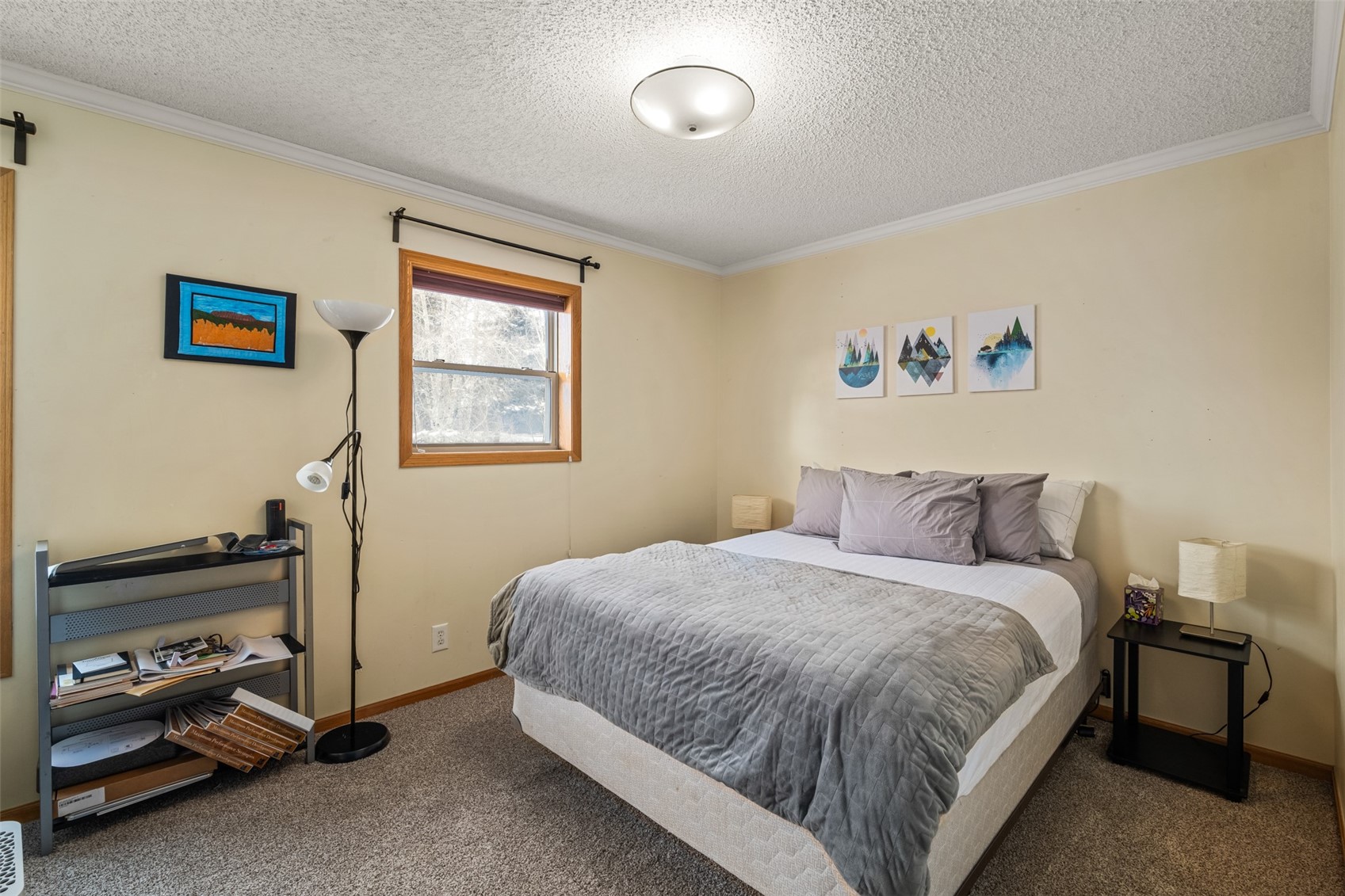 568 Tamarack Drive Steamboat Springs CO 80487
