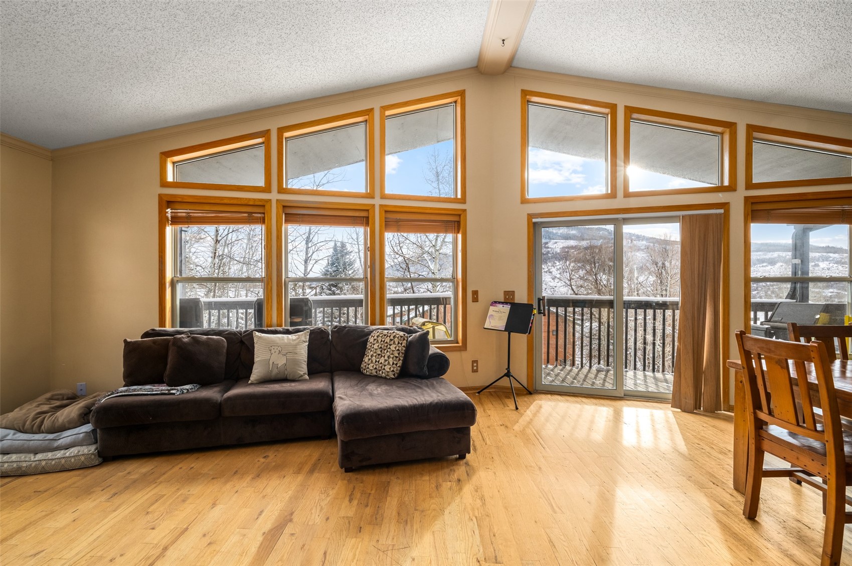568 Tamarack Drive Steamboat Springs CO 80487