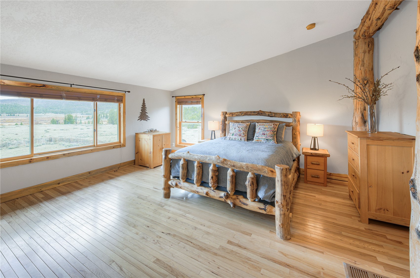 2867 Willow Creek Lane Fairplay CO 80440