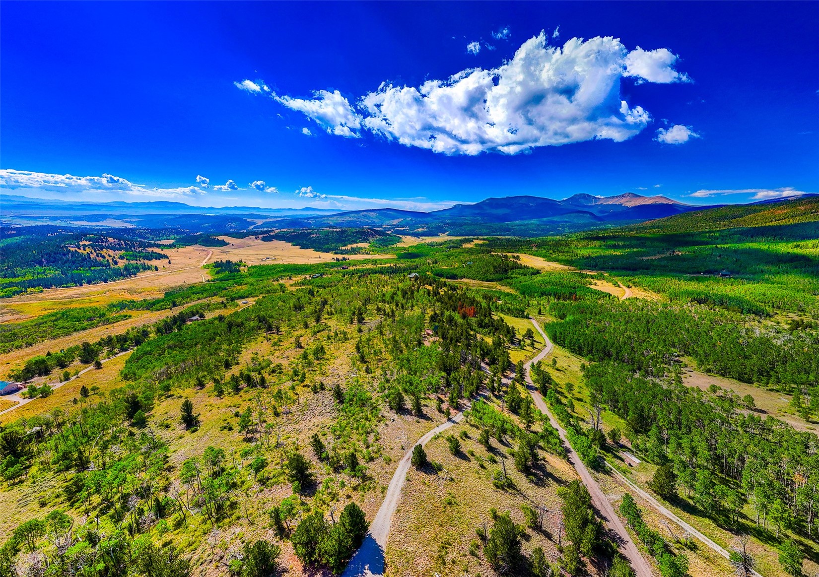 210 Pine Ridge Road Fairplay CO 80440