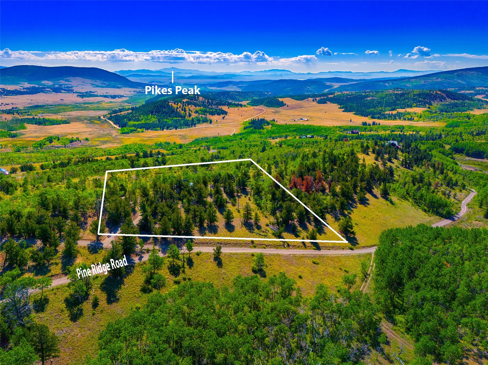 210 Pine Ridge Road Fairplay CO 80440