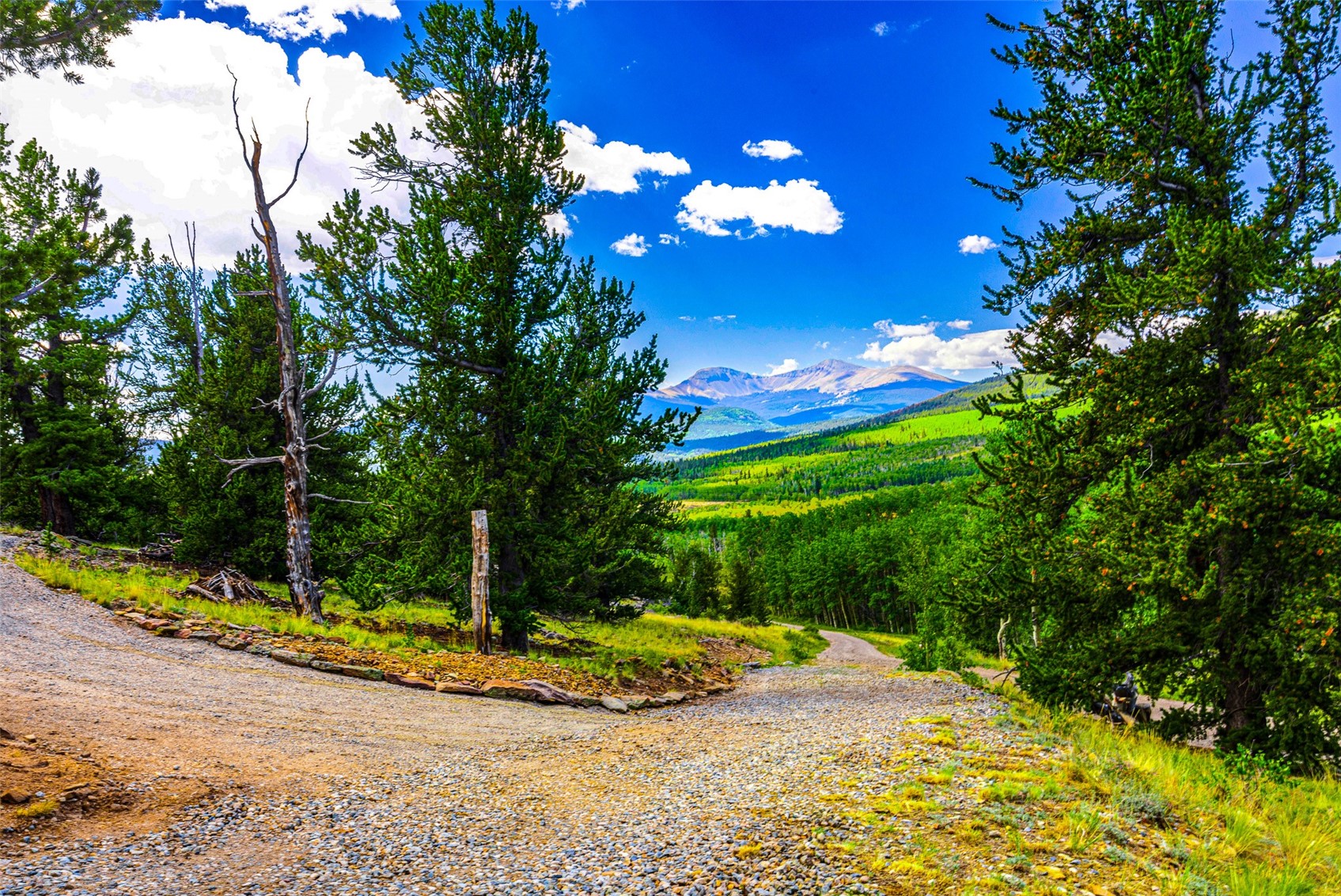 210 Pine Ridge Road Fairplay CO 80440