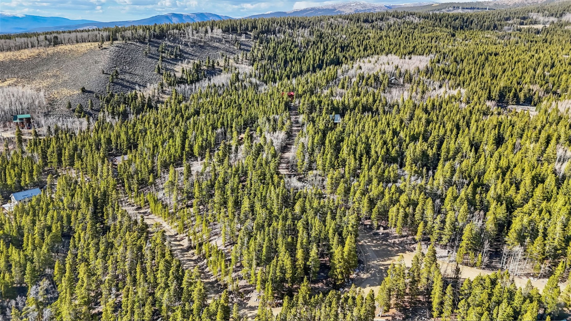 2443 Empire Valley Drive Leadville CO 80461