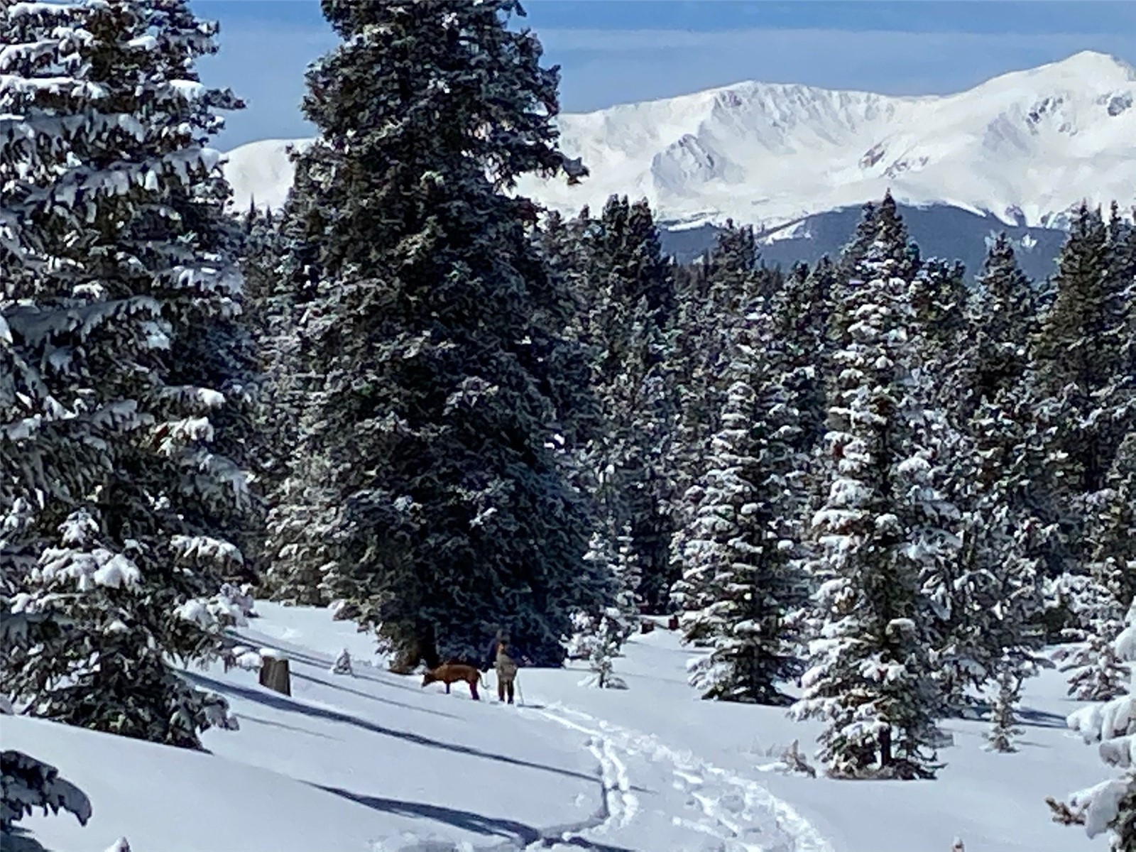 2443 Empire Valley Drive Leadville CO 80461