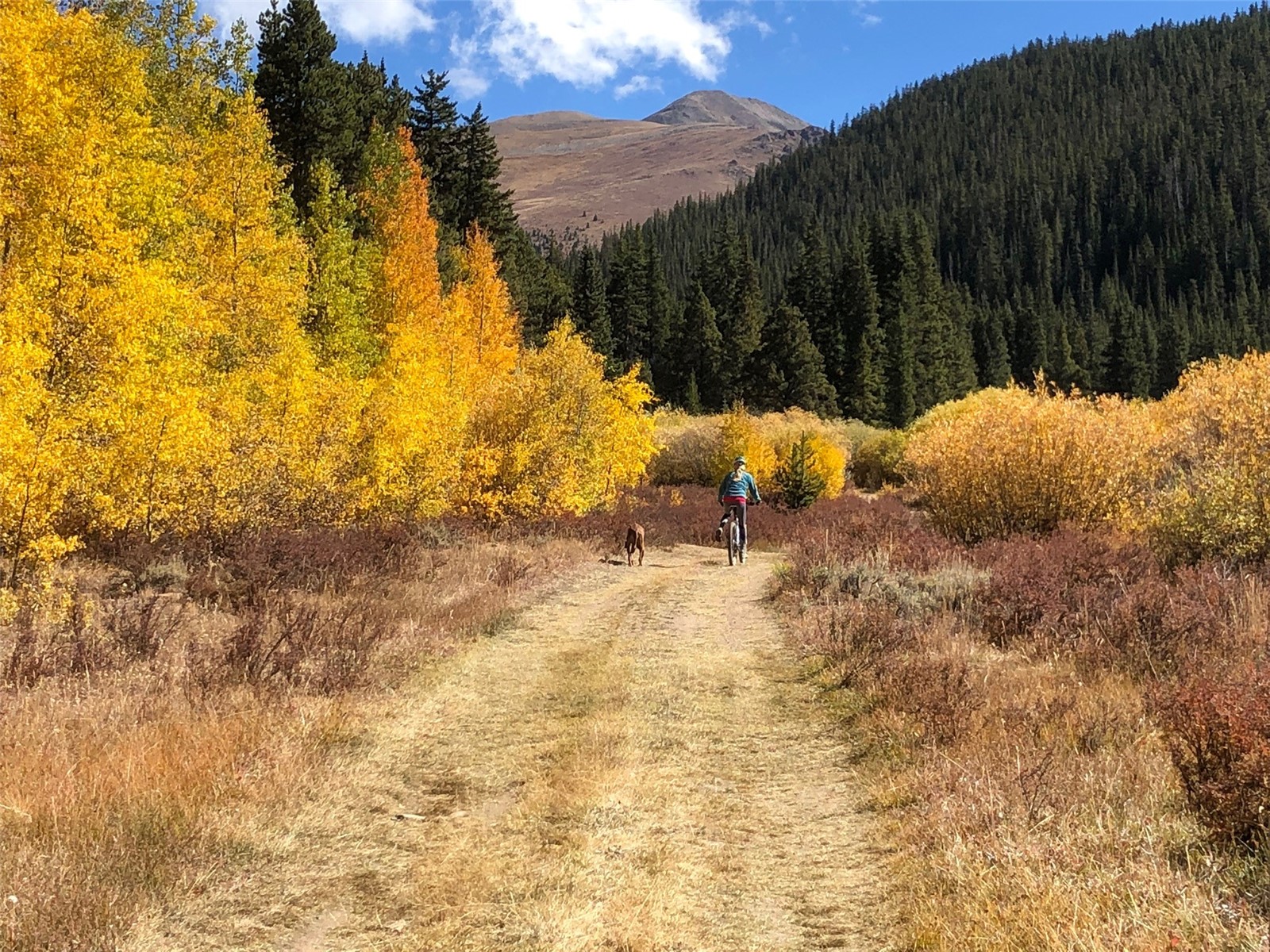 2443 Empire Valley Drive Leadville CO 80461