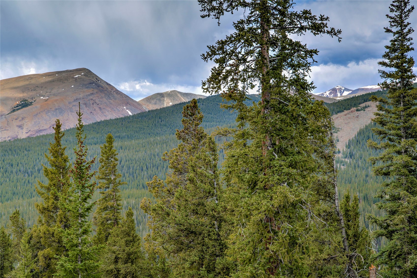 790 Mountain View Drive Fairplay CO 80440