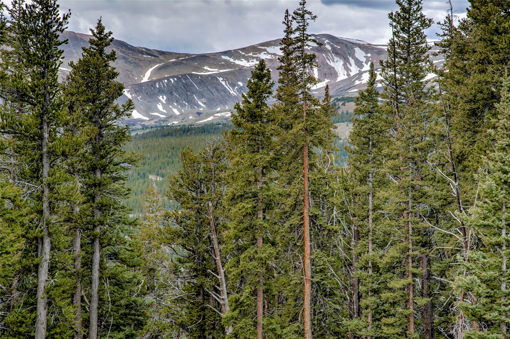 790 Mountain View Drive Fairplay CO 80440