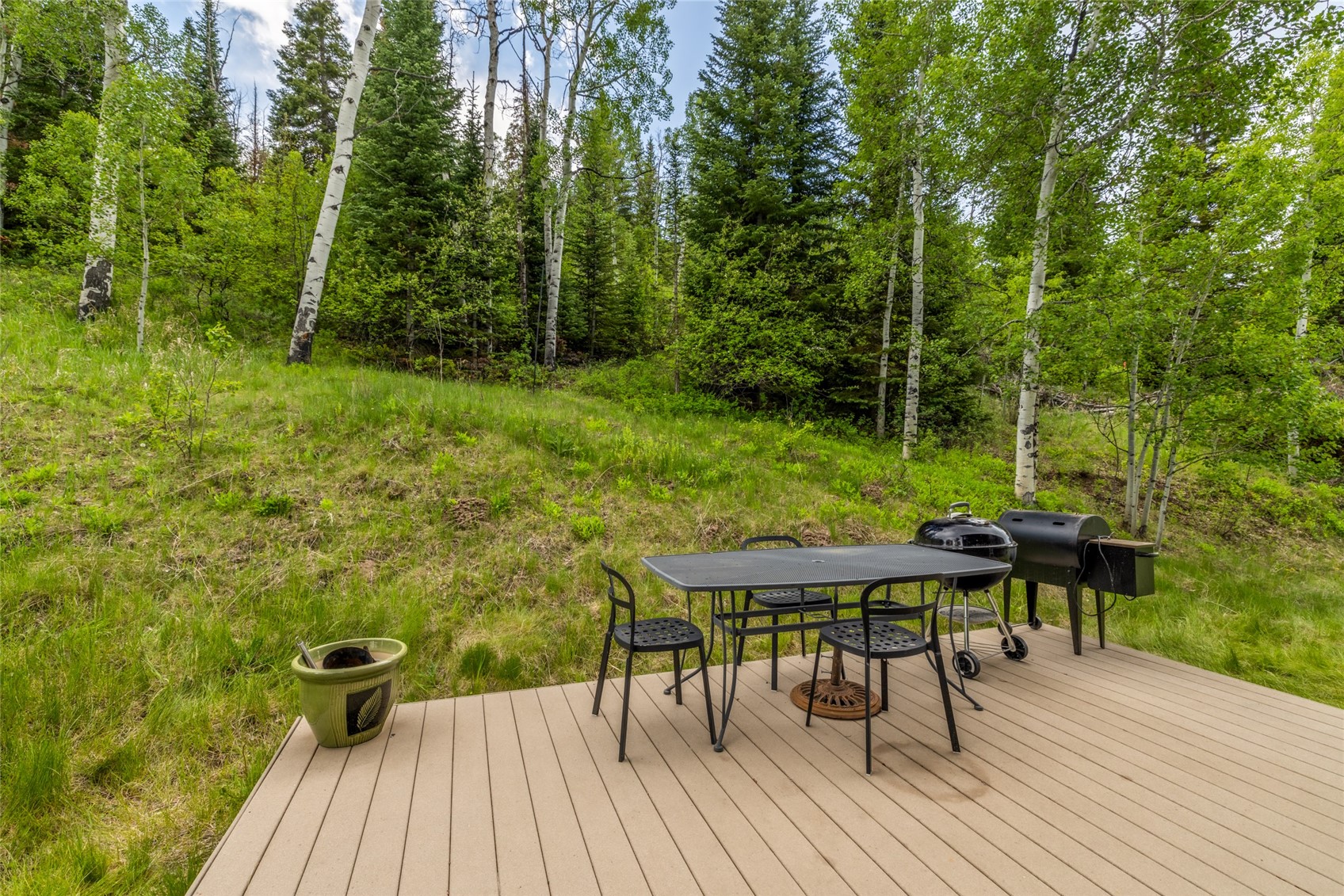 31380 Shoshone Way Oak Creek CO 80467