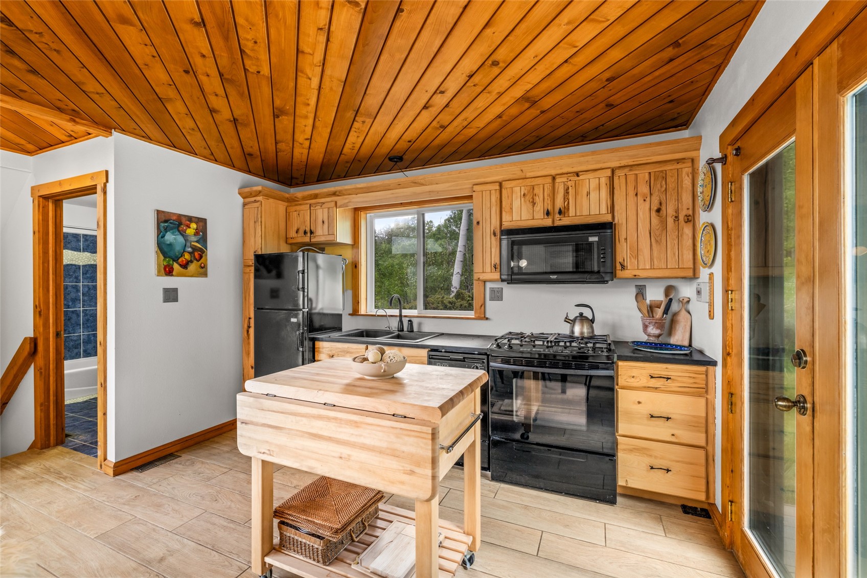 31380 Shoshone Way Oak Creek CO 80467