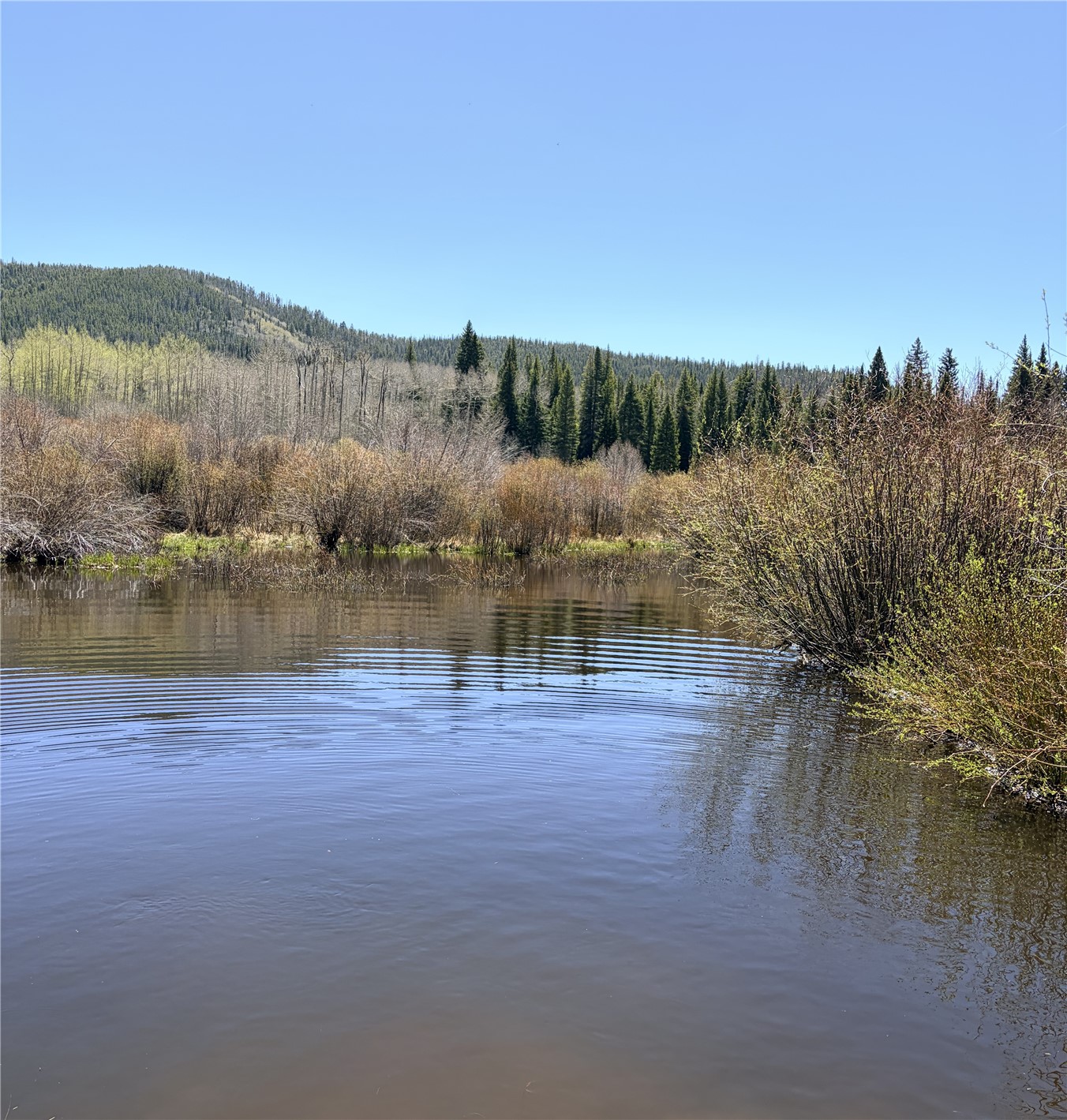 14555 County Road 16 Oak Creek CO 80467